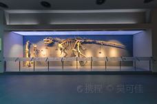重庆自然博物馆（新馆）-重庆-doris圈圈