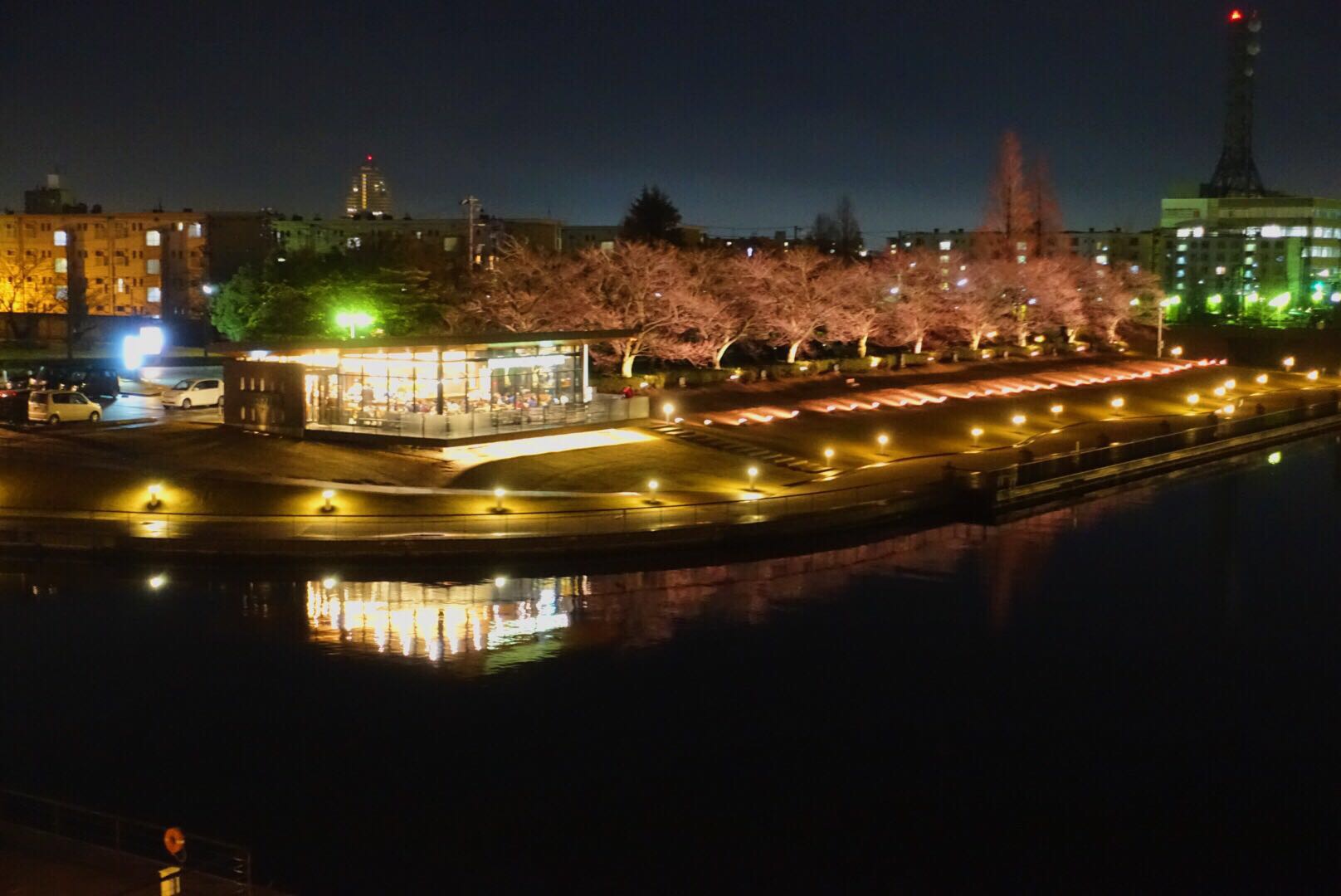 日本最美星巴克之夜——富山环水公园星巴克