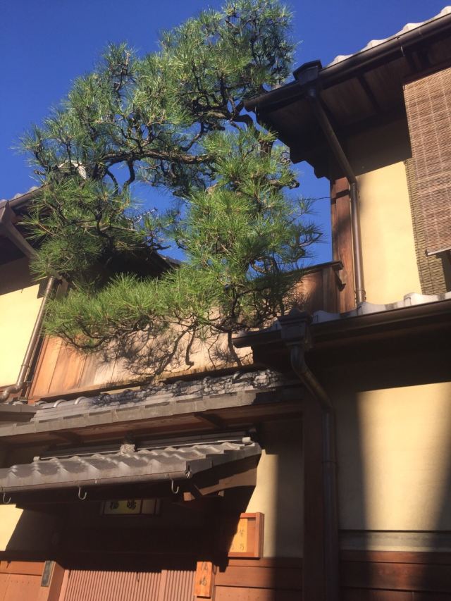 Hanamikoji