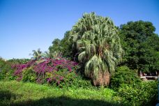 南宁动物园-南宁-doris圈圈