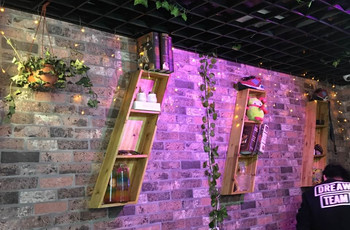 Gallery 2