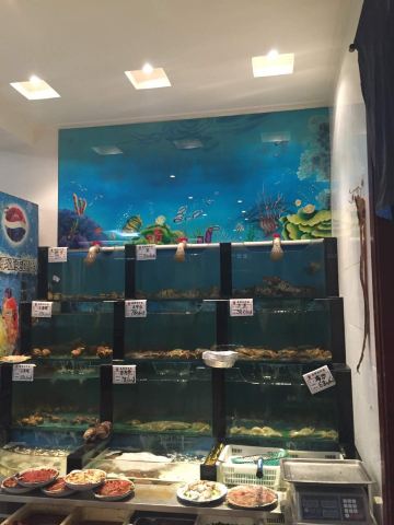 Gallery 3