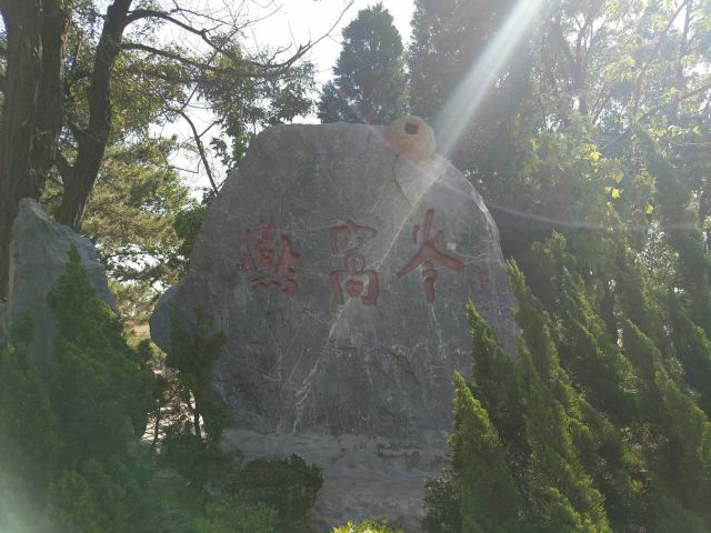 과해대교