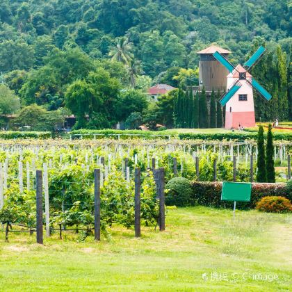曼谷+芭堤雅7日6晚私家团