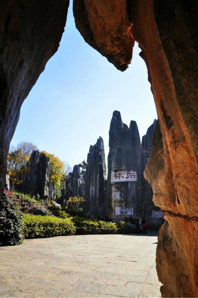 Stone Forest