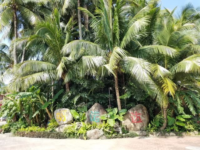 Yanoda Rainforest Cultural Tourism Zone