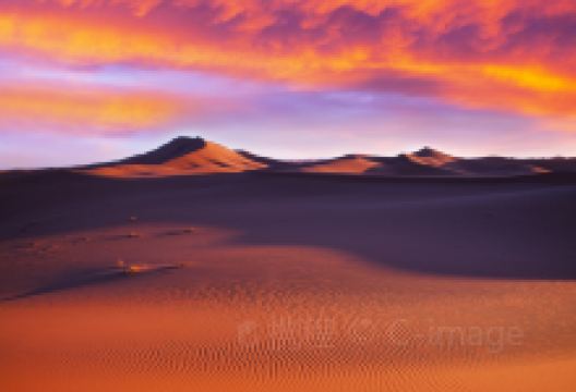 撒哈拉沙漠景点图片