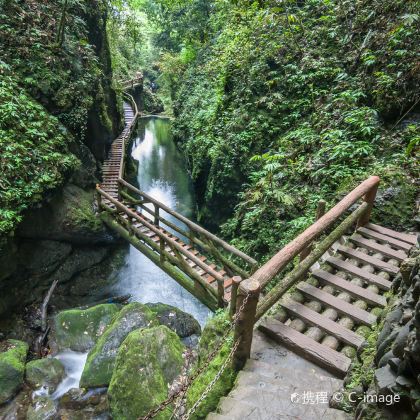 成都+都江堰+青城山+三星堆博物馆+乐山5日4晚自由行