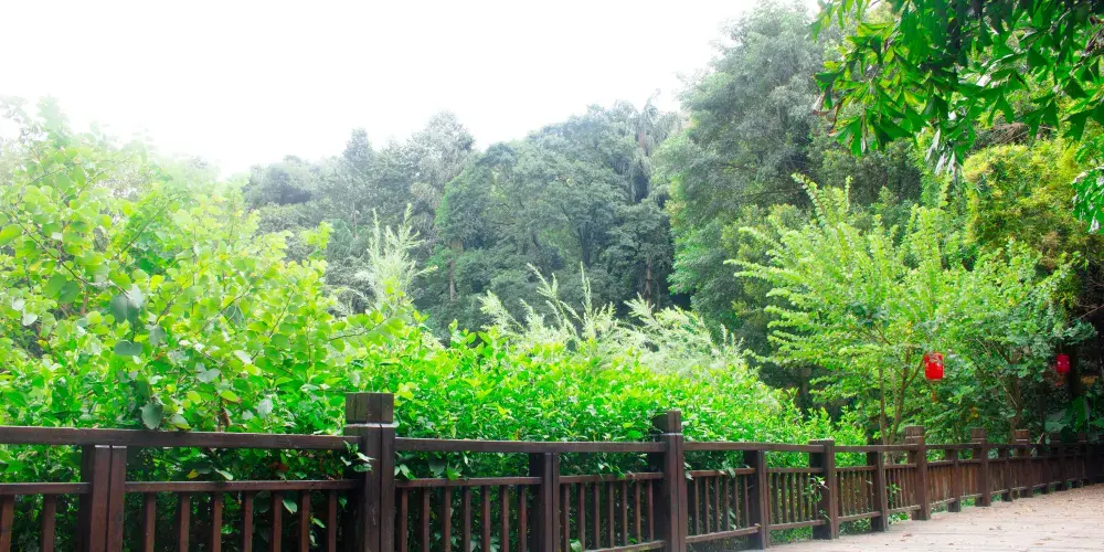 永安旅遊