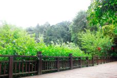 天鹿湖森林公园-广州-doris圈圈