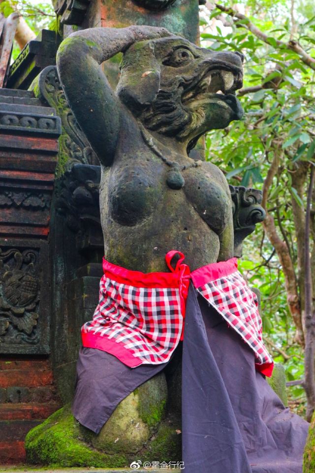 몽키 포레스트