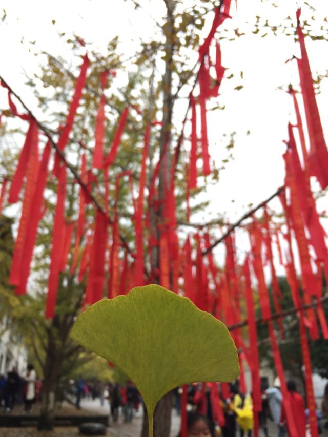 마오쯔펑 린창