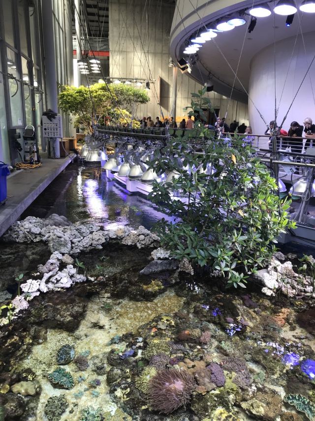 California Academy of Sciences
