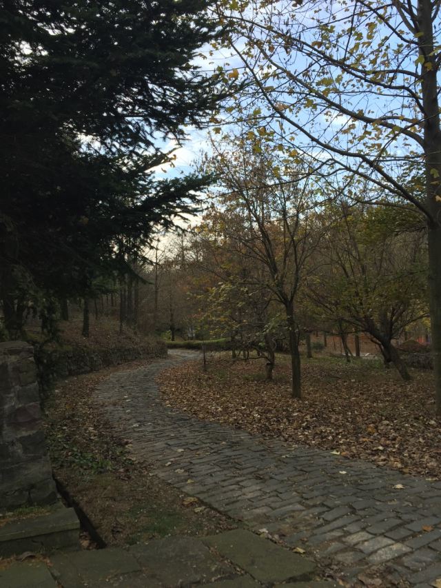 쓰밍산 국립삼림공원