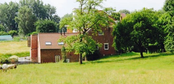 De Grondeling餐厅图片