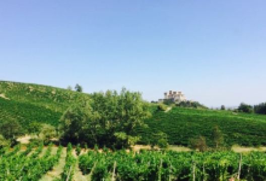 Agriturismo Lamoretti美食图片