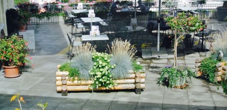 Restaurant Krone餐厅图片