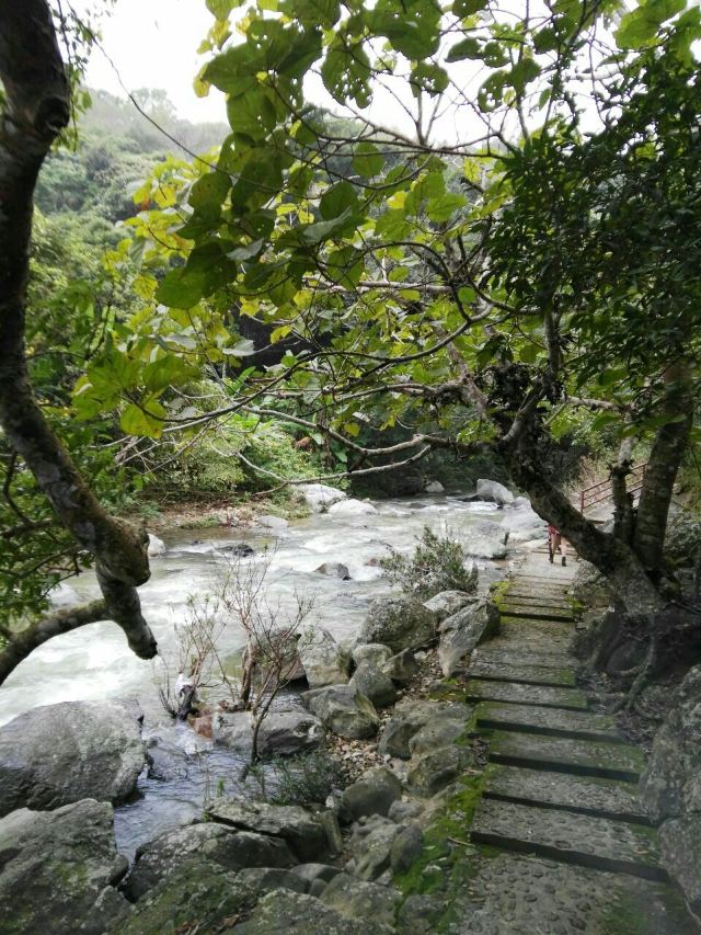 Wuzhishan Tropical Rainforest