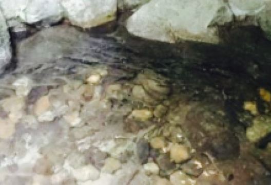 Sansai Cuisine Mitakien美食图片