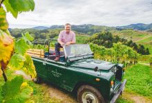 Julius Renner Weingut & Weinkellerei购物图片