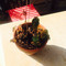 Rodney’s Garden Café