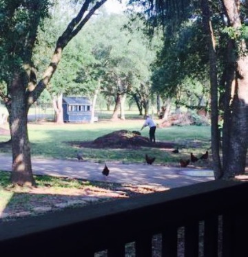 Season's Harvest Cafe