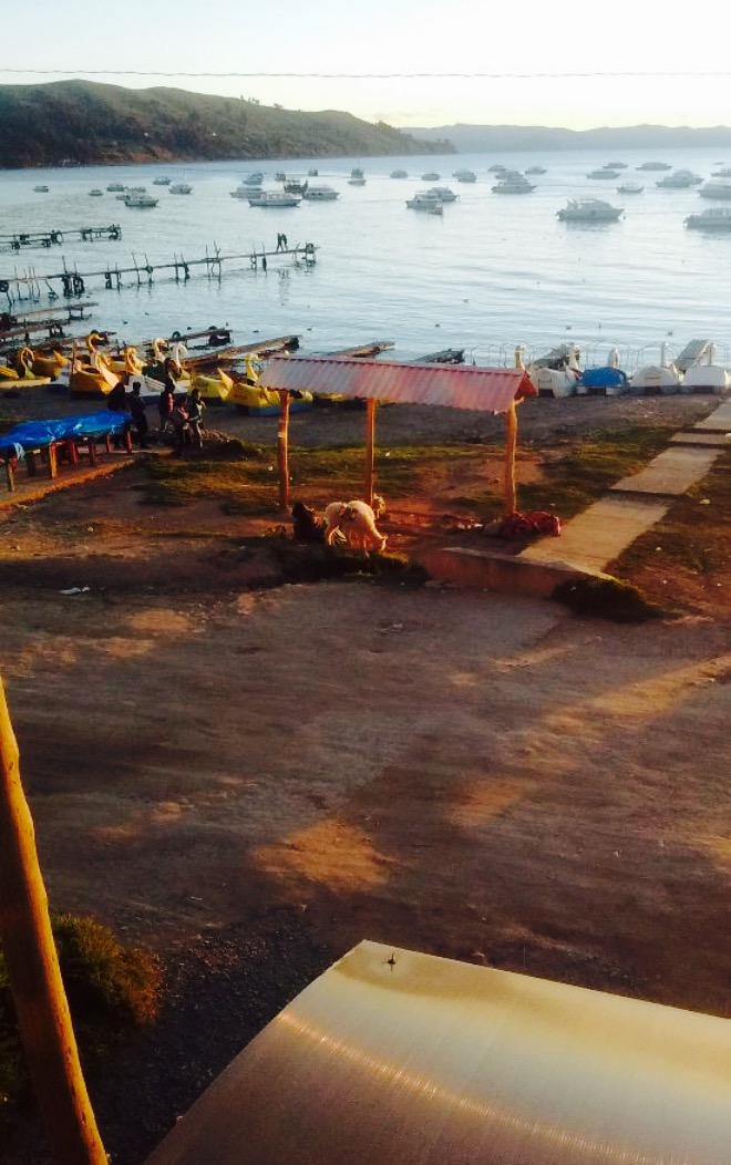 Cafe Europa餐厅图片