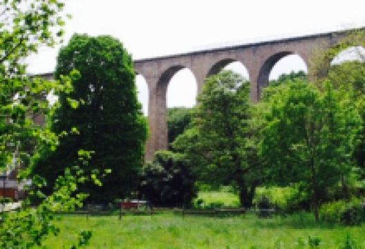 Auberge du Tue Vaques美食图片