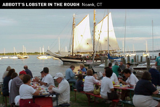 Abbott's Lobster In The Rough