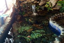 Sushi Hana美食图片