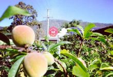Canungra Hub Cafe & Deli美食图片