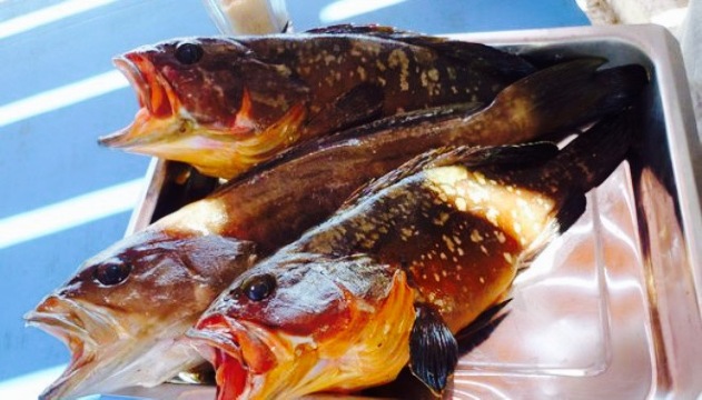 Anemos Sunrise餐厅图片