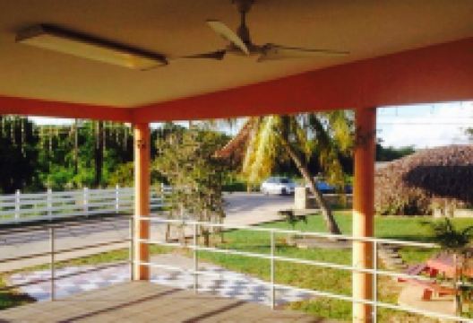 Rankin's Jerk Pit美食图片