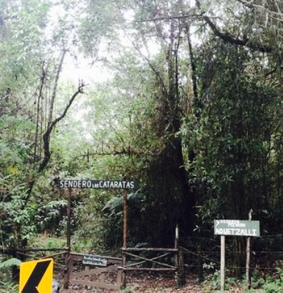 Mirador de Quetzales餐厅图片