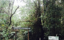 Mirador de Quetzales餐厅图片