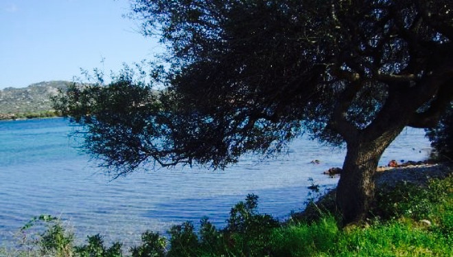 Ristorante Pizzeria dei Fiori餐厅图片