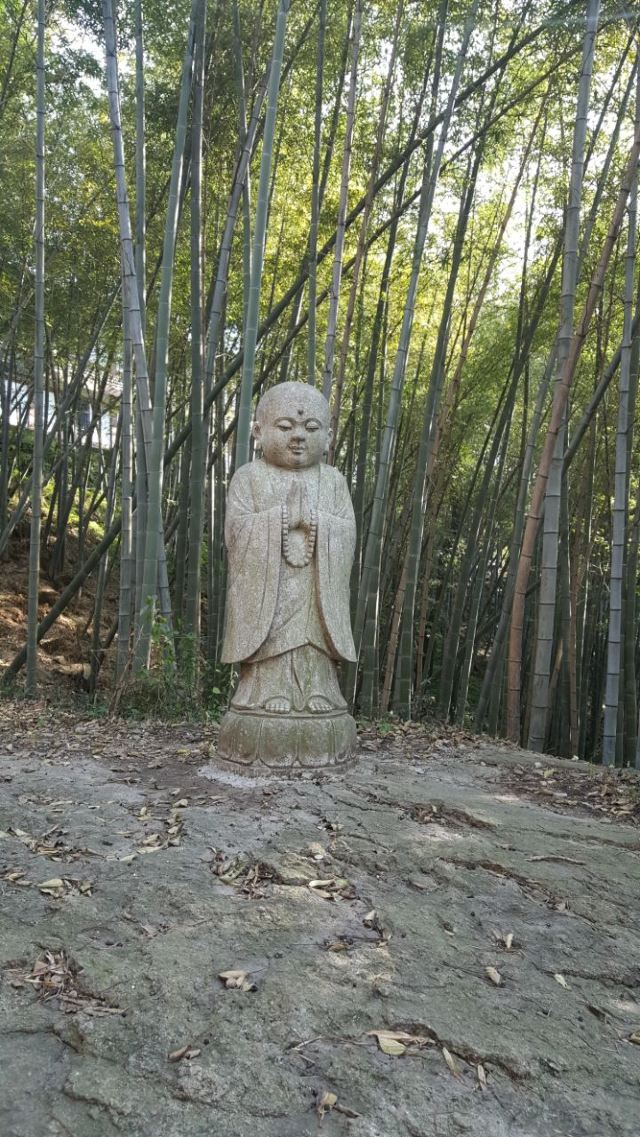 다펑산 셴포구 관광지구