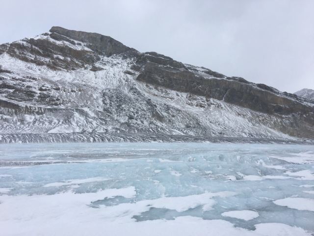 Columbia Icefield