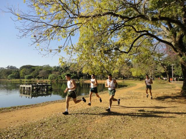Ibirapuera Park