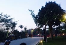 Budaya Resto美食图片