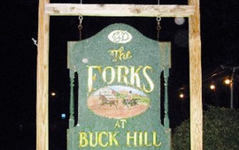 The Forks At Buck Hill