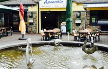 Bistro-Aquarello餐厅图片