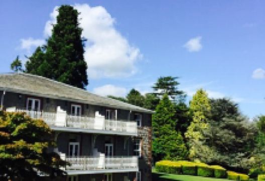 Regency Restaurant美食图片