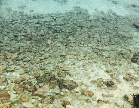 Tikila Bar餐厅图片