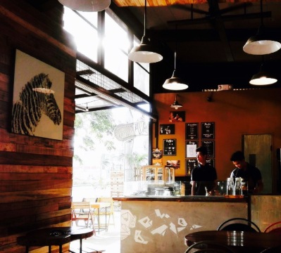 Monkey Grounds Coffee