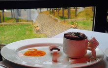 Shkatulka Restaurant餐厅图片