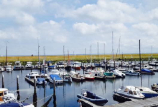 Compagnie美食图片