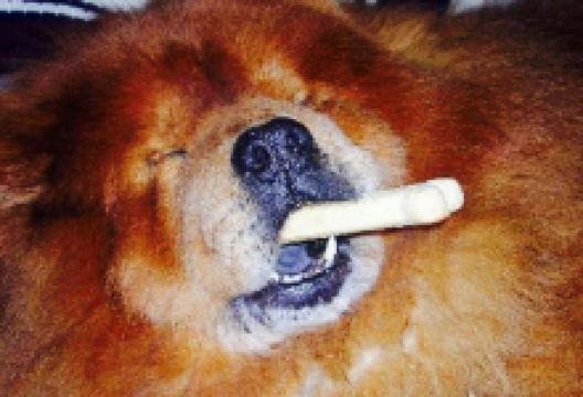 Coffee Mania美食图片