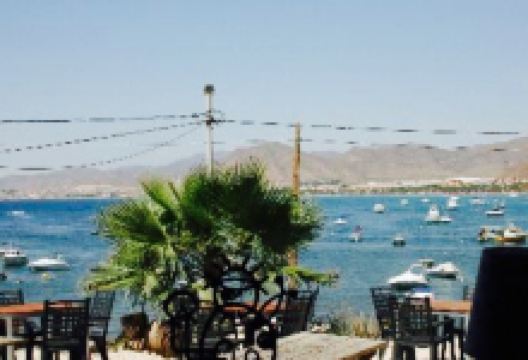 Antipodas Tavern美食图片