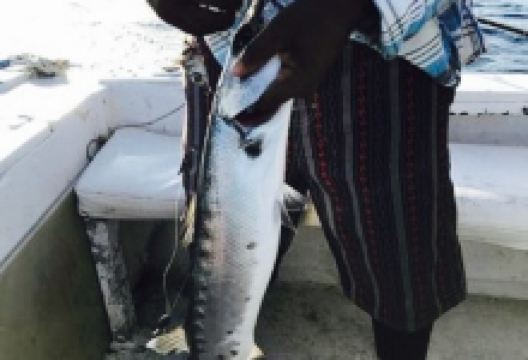 Captain Herman Fish Fry美食图片